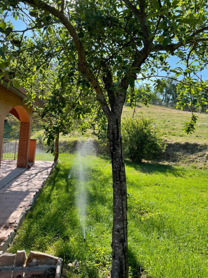 Luxury Villa Arianna Tarano Exteriör bild